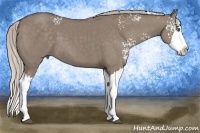 Horse Color:White Spotted Silver Grullo Splash 