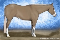 Horse Color:Silver Grullo Sabino 