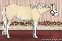 Horse Color:Silver Classic Champagne Dun Sabino Splash Frame 