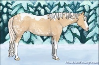 Horse Color:White Spotted Silver Classic Champagne Ice Splash Tobiano 
