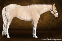 Horse Color:Silver Amber Champagne Ice Sabino Splash