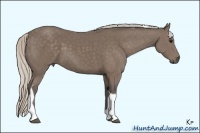Horse Color:Silver Black Tobiano