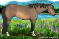 Horse Color:Buckskin Rabicano 