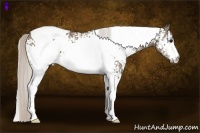Horse Color:White Spotted Silver Grullo Tobiano 