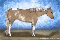 Horse Color:White Spotted Silver Grullo Tobiano