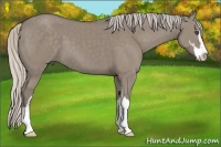 Horse Color:Silver Grullo Sabino 