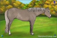 Horse Color:Silver Grullo Sabino Rabicano