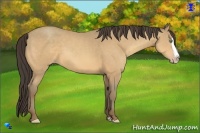 Horse Color:Amber Cream Champagne Splash 