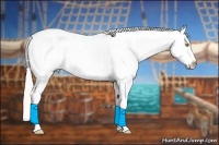 Horse Color:Silver Amber Champagne Tobiano Appaloosa 