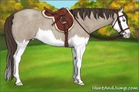 Horse Color:Classic Champagne Roan Splash