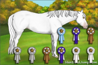 Horse Color:Gray White Spotted Amber Champagne Roan Rabicano 