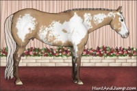 Horse Color:White Spotted Silver Bay Dun Splash Frame