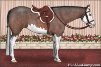 Horse Color:Bay Roan Splash
