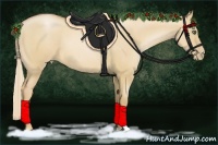 Horse Color:Red Dun Pearl 