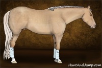 Horse Color:Silver Classic Champagne 