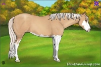 Horse Color:Silver Classic Champagne Splash Frame 