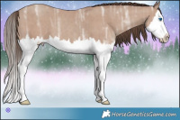 Horse Color:Classic Champagne Ice Sabino Splash
