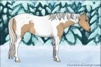 Horse Color:Silver Buckskin Tobiano 
