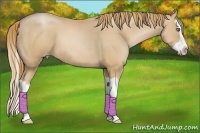 Horse Color:Chestnut Pearl Splash