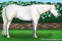 Horse Color:Gold Champagne Pearl Dun Splash Tobiano