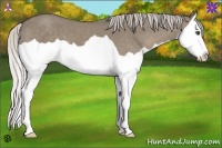 Horse Color:Silver Smoky Grullo Splash 