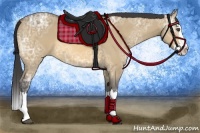 Horse Color:Buckskin Ice Dun Sabino Splash