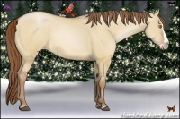 Horse Color:Bay Pearl Dun Sabino Splash Frame Rabicano