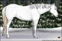 Horse Color:Chestnut Pearl Varnish Rabicano