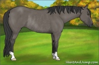 Horse Color:Smoky Grullo Rabicano 