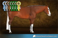 Horse Color:Silver Brown Splash Rabicano