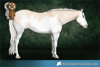 Horse Color:White Spotted Silver Amber Champagne Dun Sabino Splash Frame