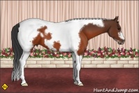 Horse Color:Brown Tobiano Frame 