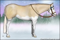 Horse Color:Red Dun Pearl Splash 