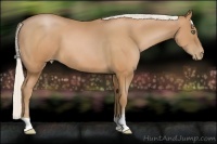 Horse Color:Silver Brown Pearl
