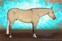 Horse Color:Silver Brown Dun Sabino