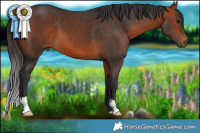 Horse Color:Brown 