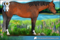 Horse Color:Brown 