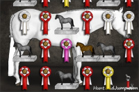 Horse Color:Gray Blue Roan Tobiano Rabicano