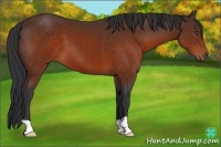 Horse Color:Brown 
