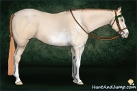 Horse Color:Buckskin Pearl Sabino 