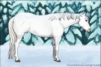 Horse Color:Silver Black Sabino Splash Tobiano Frame Blanket Rabicano