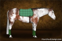 Horse Color:White Spotted Brown Splash 