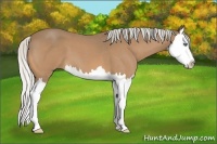 Horse Color:Silver Buckskin Roan Splash 