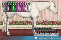 Horse Color:Perlino Dun