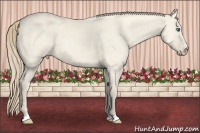 Horse Color:Perlino Dun