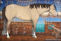 Horse Color:Amber Champagne Dun Sabino 