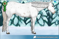 Horse Color:White Spotted Liver Chestnut Ice Sabino Splash 