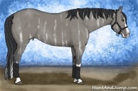 Horse Color:White Spotted Grullo Ice Splash 