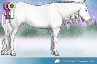Horse Color:Silver Classic Champagne Ice Pearl Sabino Splash 