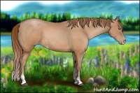 Horse Color:Brown Pearl Sabino 